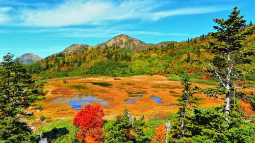 Image of Japan's National Park in Fall
