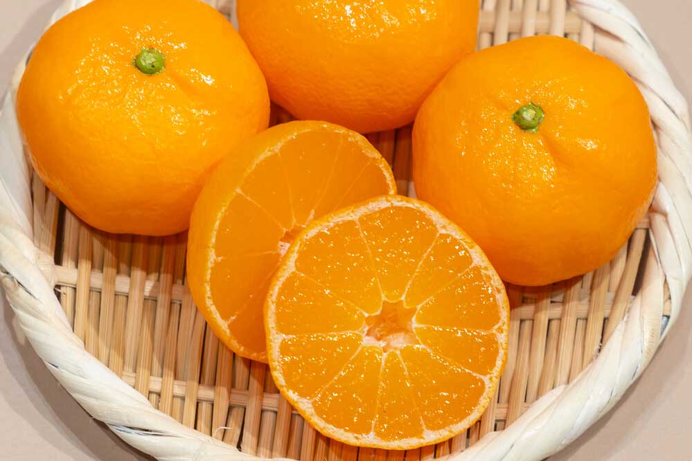 Food replica of mikan (Japanese mandarin)