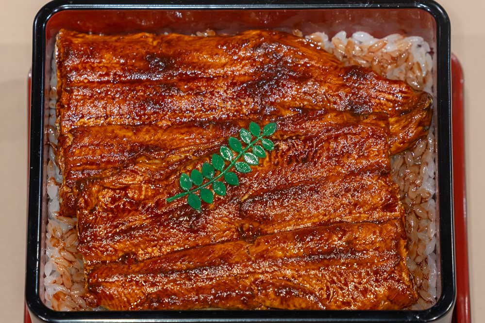 Food replica of Unagi kabayaki on rice