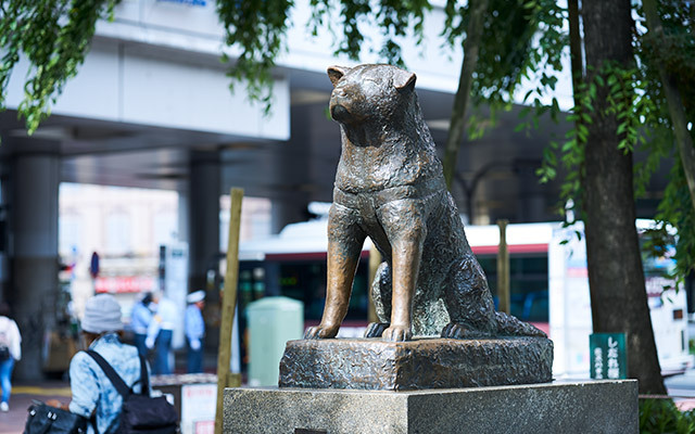 Hachiko Statue in front of Shibuya Station