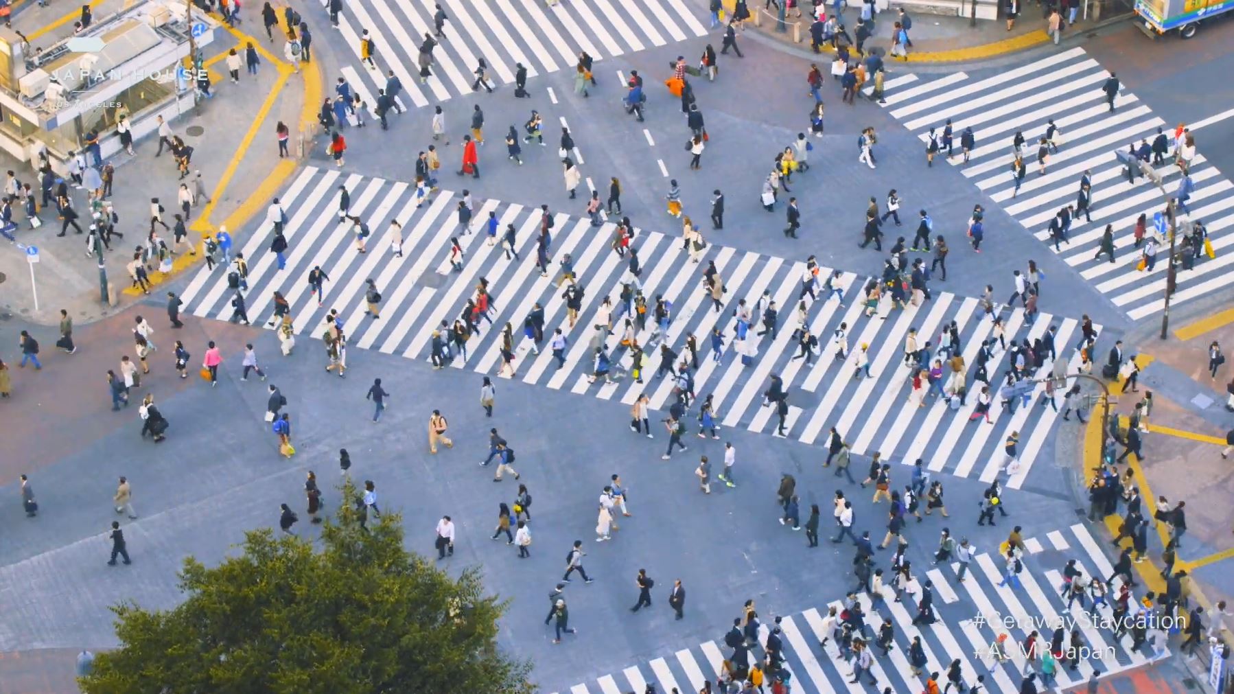 Shibuya Crossing that's become a tourist destination 