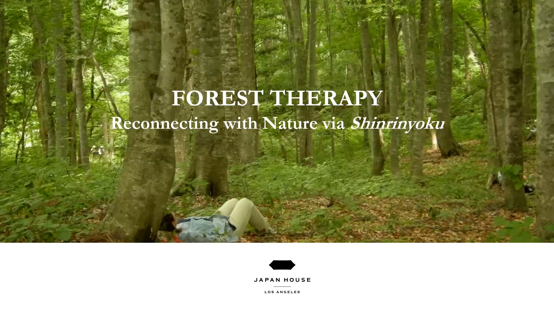 FOREST THERAPY: Thumbnail