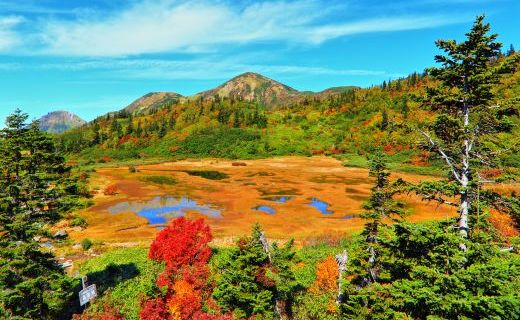 Myoko Togakushi renzan National Park, Koyaike Marsh