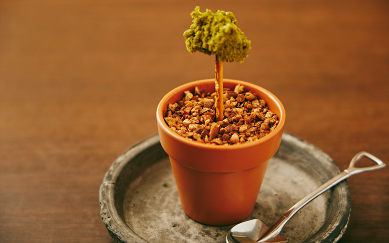 A meal from SAIDO Vegan Cuisine designed to look like a baby tree in a planter with a spoon