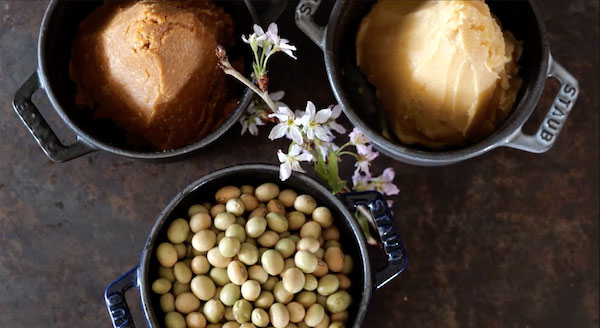 miso and soy beans, image linked to Fermentation article