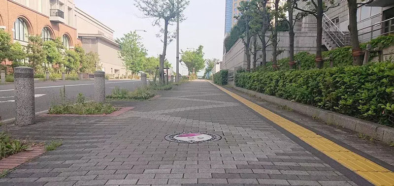 A street in Japan with an Olympic-themed manhole cover on the ground