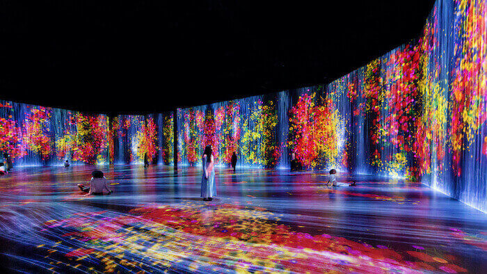 Flowers and People, Cannot be Controlled but Live Together, Miami, teamLab