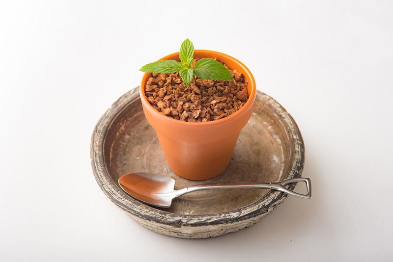 Vegan cheesecake shaped like potted plant