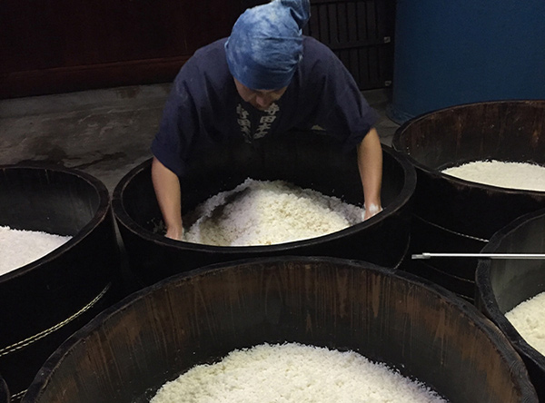 Washing rice with hand at Terada Honke Sake