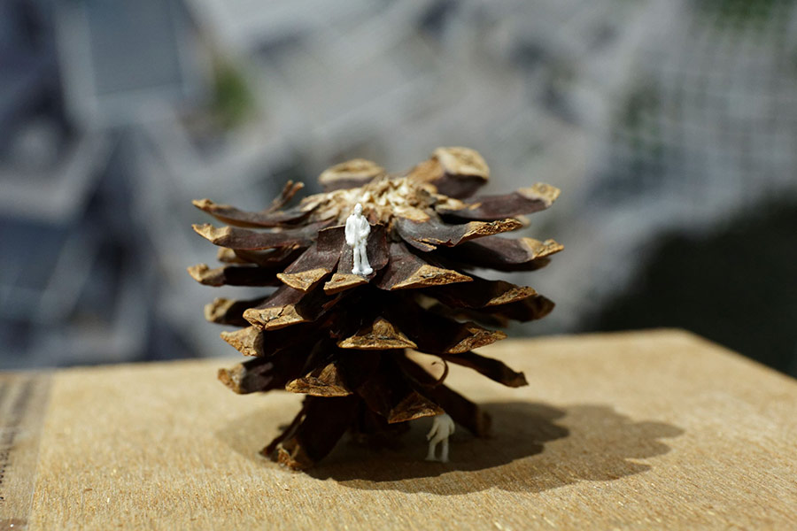 Little figurine on a pine cone