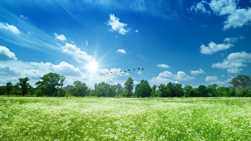 image of blue sky and green grass