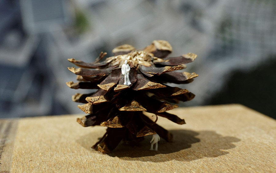 figurines on a pine cone