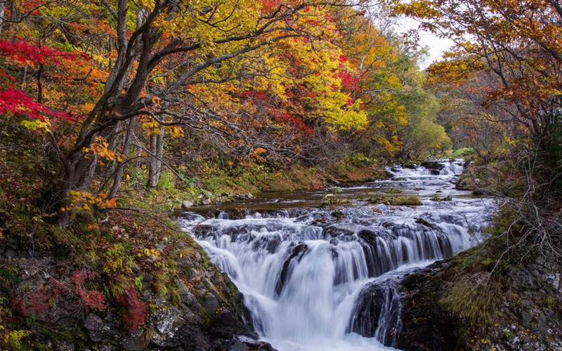 Waterfall in autumn forest of Hokkaido, Japan