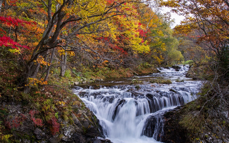 Waterfall flowing through a forest of colorful autumn leaves in Hokkaido.