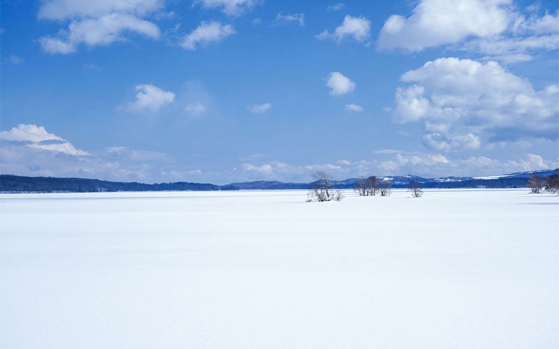 Expansive snowy landscape in Hokkaido with trees dotting the pristine white terrain.