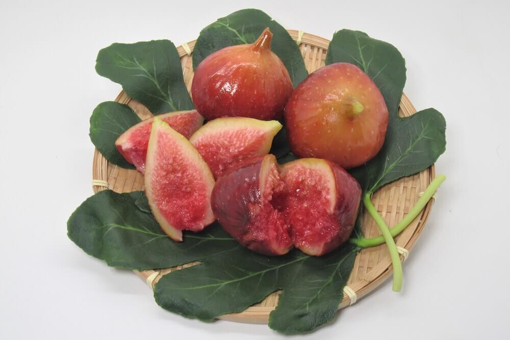 Fake fig fruit model showcasing texture and realism for food display.