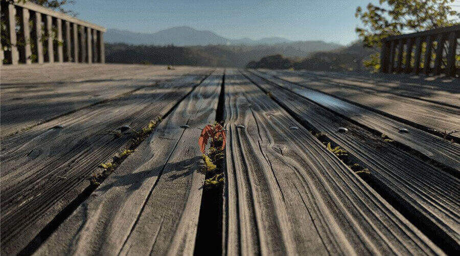 A close-up of a weathered wooden deck with a small red crab in a crack, overlooking mountains.