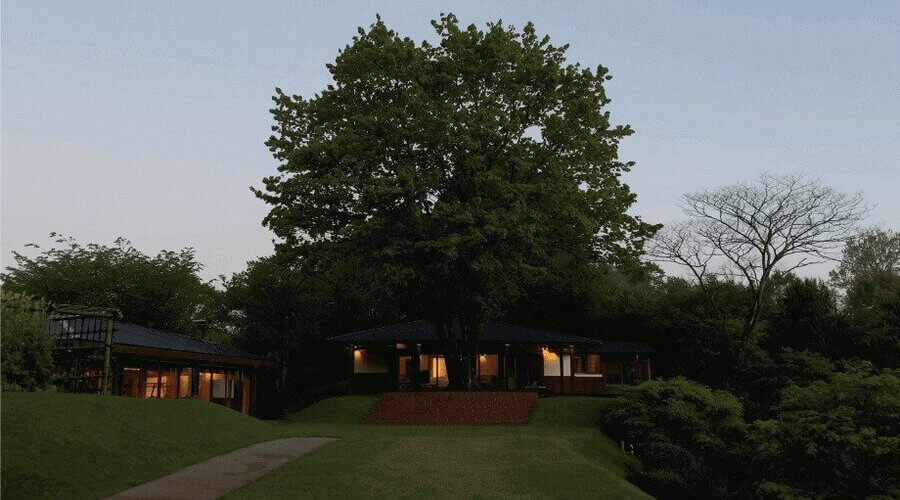 A tranquil lodge nestled among lush trees at dusk, with a path leading to the entrance