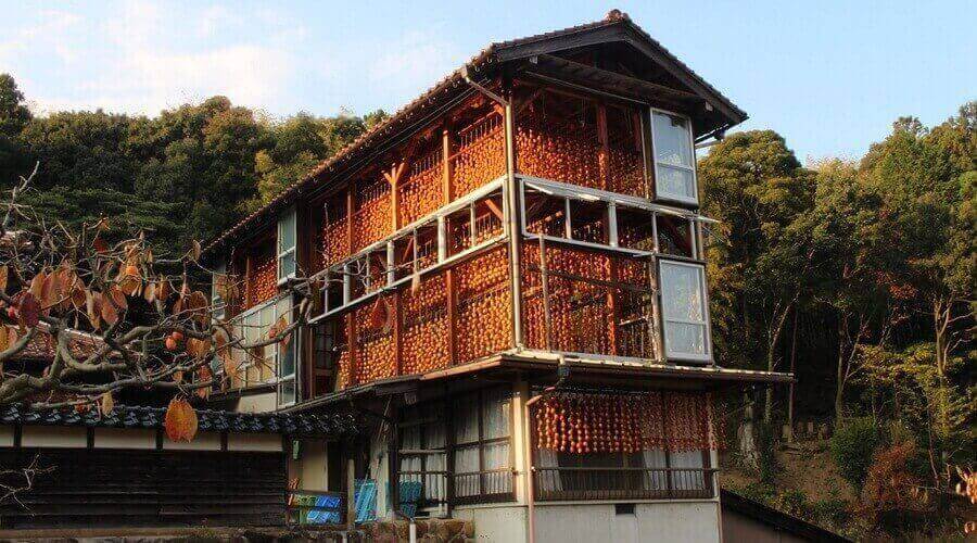 Traditional Japanese house with rows of drying persimmons on its exterior, surrounded by trees.